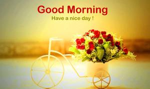 Good Morning Quote Bicycle Flower good morning wallpaper