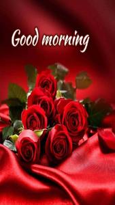 Good Morning Roses On Satin Picture good morning wallpaper