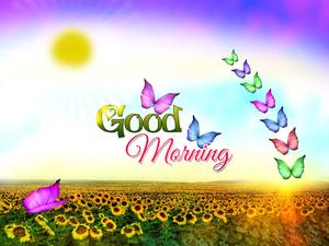 Good Morning Sunflower Field good morning wallpaper