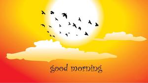 Good Morning Sunny Day Picture good morning wallpaper