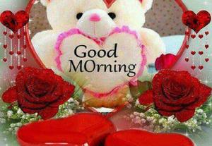 Good Morning Teddy Bear Gift Picture good morning wallpaper