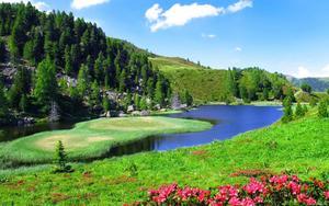 Grass Field Near River Landscape Picture landscape wallpaper