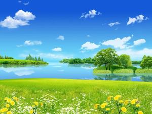 Grass Field With Flower And Lake Landscape Picture landscape wallpaper
