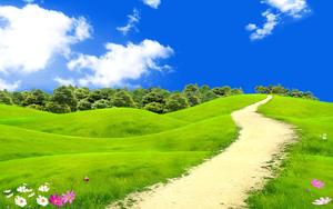 Grass Road With Flowers Landscape Picture landscape wallpaper