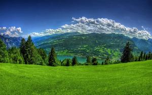 Grass Under Cloudy Sky Landscape Picture landscape wallpaper