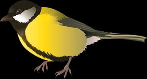 Great_ Tit_ Illustration_ Vector Wallpaper