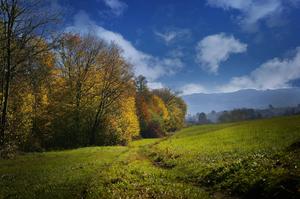 Green Field On Fall Scenic fall wallpaper