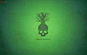 Green Hacker Skull hacker wallpaper