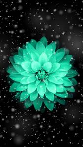 Green Lotus Pretty Phone pretty phone wallpaper