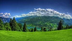 Green Mountains And Pine Trees Nature nature wallpaper