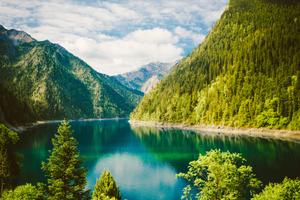 Green Nature Landscape nature wallpaper