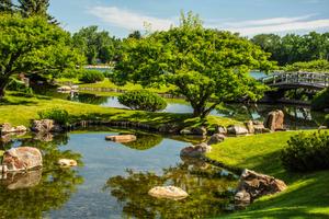 Green tranquility in the landscape landscape wallpaper