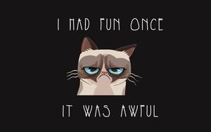 Grumpy Awful Fun Funny Meme funny meme wallpaper