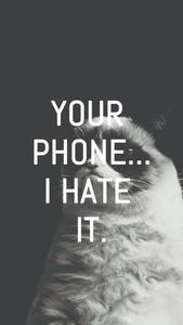 Grumpy Cat Funny Phone funny phone wallpaper