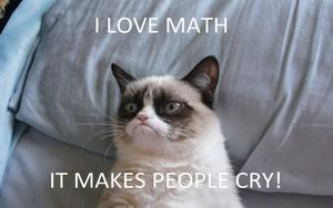 Grumpy Math Funny Meme funny meme wallpaper