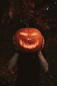 Halloween Pumpkin Cell Phone Image halloween wallpaper