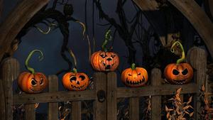 Halloween Pumpkins On Fence halloween wallpaper