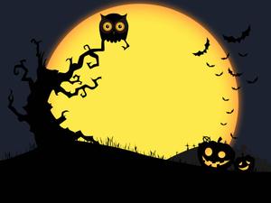Halloween Yellow Moon Owl halloween wallpaper