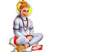 Hanuman White Fur On White 4K HD  Wallpaper