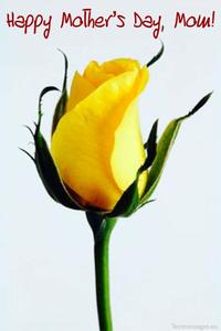 happy mothers day mom mothers day wallpaper