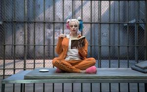 Harley Quinn pictures harley quinn wallpaper