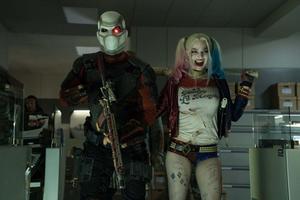 Harley Quinn pictures harley quinn wallpaper