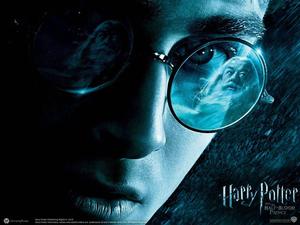 Harry Potter and Dumbledore harry potter wallpaper