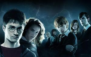 Harry Potter and Dumbledore's Army harry potter wallpaper