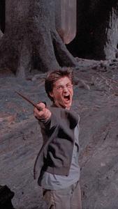 Harry Potter casts a spell among the stars harry potter wallpaper