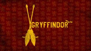 Harry Potter champions of Quidditch, the Gryffindor team harry potter wallpaper