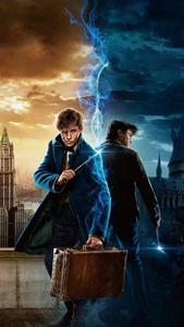 Harry Potter Fantastic Beasts harry potter wallpaper