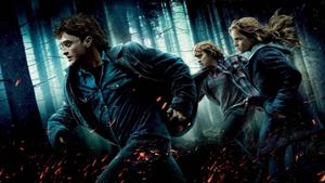 Harry Potter, Hermione And Ron harry potter wallpaper
