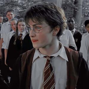 Harry Potter searches for adventure harry potter wallpaper
