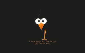 HD Funny Black Bird funny wallpaper
