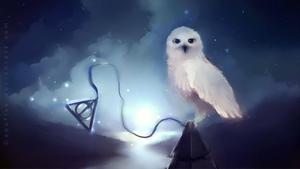 Hedwig, Harry Potter's loyal companion harry potter wallpaper