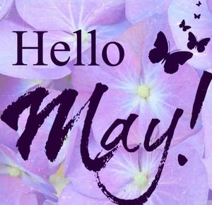 hello may greeting card may wallpaper