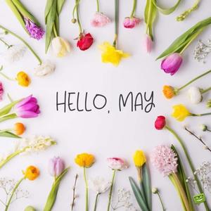hello may written on a white background with colorful flowers may wallpaper