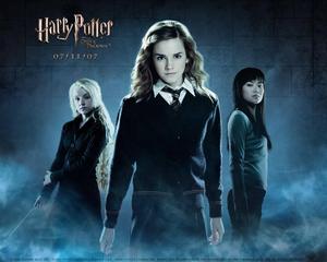 Hermione Granger and the Girl's of Harry Potter harry potter wallpaper