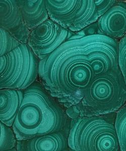 High Definition and Crisp Images with a 1080P Resolution 1080p wallpaper