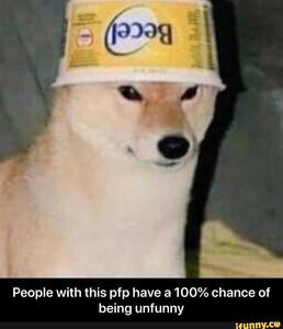 Hilarious Canine Antics meme pfp wallpaper