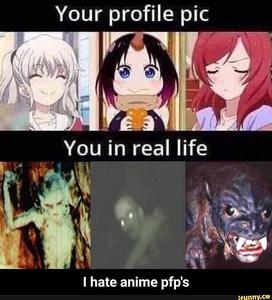 Hilarious Meme PFP meme pfp wallpaper