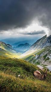Hills Nature 4K iPhone 4k nature iphone wallpaper