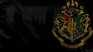 Hogwarts Houses - Bravery, Loyalty, Intelligence, and Ambition hogwarts wallpaper