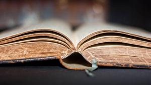 Holy Bible Book Spine bible wallpaper