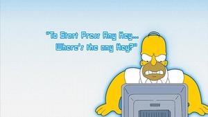 Homer Simpson Computer Humor Meme simpsons wallpaper