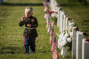 Honoring All Who Have Served - Memorial Day memorial day wallpaper