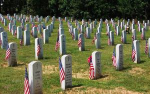 Honoring those who have sacrificed for our freedom on Memorial Day memorial day wallpaper