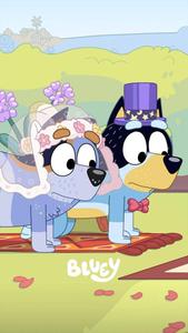 Horsey Wedding Episode Of Bluey bluey wallpaper
