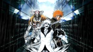 Ichigo Kurosaki of Bleach in Soul Society bleach wallpaper