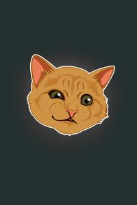 I'm Not Just Your Average Cat meme wallpaper